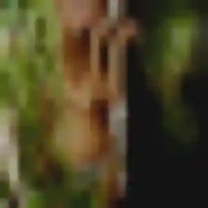 Photo de Emma à Lens (25 ans) - rencontre sexe sans inscription
