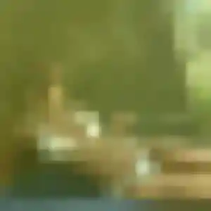 Rejoins Ameline, 20 ans à Levallois-Perret en t'inscrivant