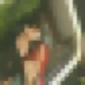 Découvre Alice, 44 ans à Limeil-Brévannes en privé