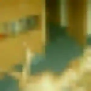 Theresa (31 ans) à Limeil-Brévannes cherche un rencontre sexe aujourd'hui