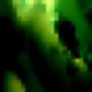 Amandine (31 ans) à Lormont cherche une rencontre ce soir
