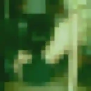 Photo de Victoire à Lucciana (31 ans) - rencontre sexe gratuit