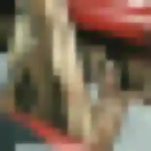 Photo de Mia à Mâcon (31 ans) - rencontre sexe discret
