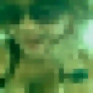 Photo de Flavia à Marange-Silvange (28 ans) - rencontre sexe sans inscription