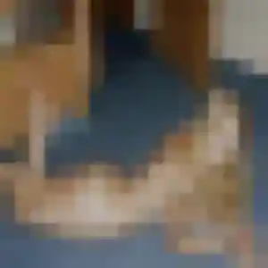Thais de Marcoussis, 36 ans - rencontre sexe sans lendemain