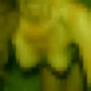 Flavie, 31 ans, dispo pour rencontre sexe à Meyzieu