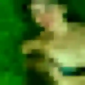 Profil de Renee à Mondonville (40 ans) - rencontre sexe anonyme