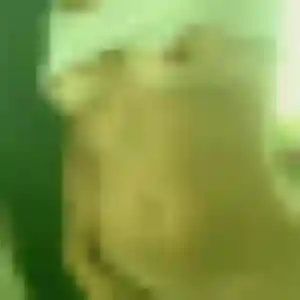 Photo de Viviane à Montauban-de-Bretagne (40 ans) - rencontre sexe sans inscription