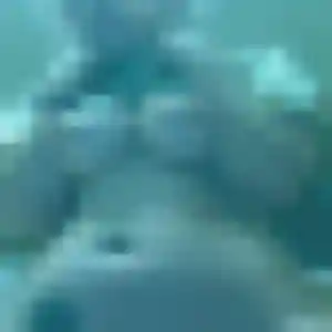 Photo de Elise à Montgeron (36 ans) - rencontre sexe gratuit