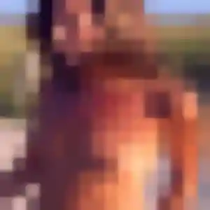 Photo sexy de Giulia, 36 ans à Montpon-Ménestérol - plan discret