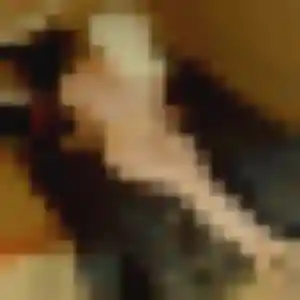 Photo sexy de Ava, 19 ans à Morières-lès-Avignon - rencontre coquine