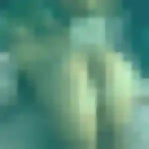 rencontre sexe à Nègrepelisse : profil de Diane, 37 ans - inscription gratuite