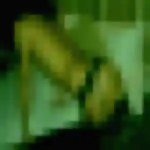 Viviane, 21 ans, cherche un rencontre sexe à Nœux-les-Mines
