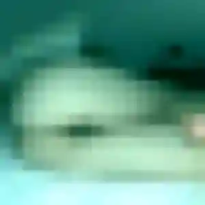 Profil de Maya à Palaiseau (37 ans) - rencontre sexe anonyme
