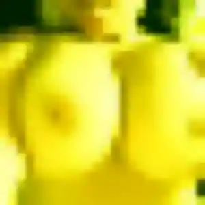 Yannick, 44 ans, en ligne à Paray-Vieille-Poste pour une rencontre coquine