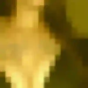 Fiona, 42 ans, dispo pour rencontre sexe à Petit-Bourg
