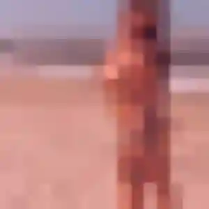 Profil de Olympe à Piolenc (24 ans) - rencontre sexe discret