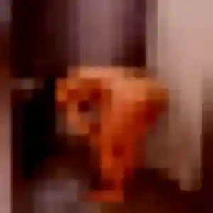 Berenice, femme de 34 ans propose rencontre sexe à Pont-Sainte-Marie