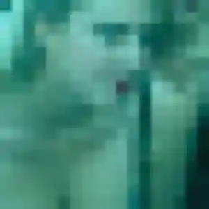 Gwendoline (39 ans) à Puilboreau attend un rencontre sexe rapidement