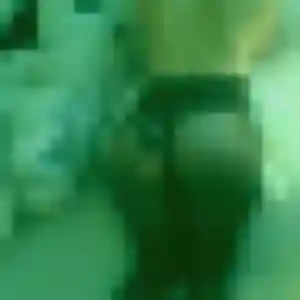 Djamila, 33 ans, connectée à Roissy-en-Brie pour une rencontre coquine