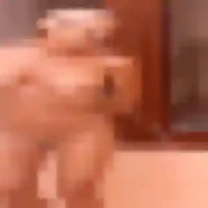 rencontre sexe à Rouen : profil de Anne-Marie, 43 ans - inscription gratuite