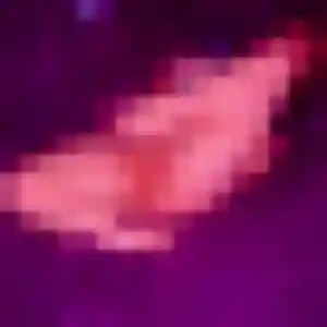 Photo privée de Flavia, 44 ans à Royan - rencontre sans lendemain