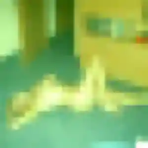 Joanne, 26 ans, connectée à Sablé-sur-Sarthe pour un rencontre sexe
