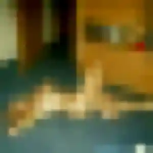 Photo exclusive de Aisha, 38 ans à Saint-André-de-la-Roche - plan discret