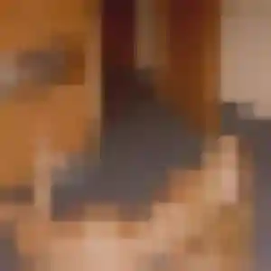 Photo sexy de Vinciane, 23 ans à Saint-André-lez-Lille - rencontre coquine