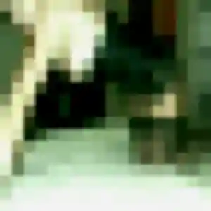 Photo de Rachel à Saint-Fargeau-Ponthierry (42 ans) - rencontre sexe sans inscription