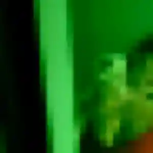 Profil de Leonore à Saint-Gervais-les-Bains (29 ans) - rencontre sexe anonyme