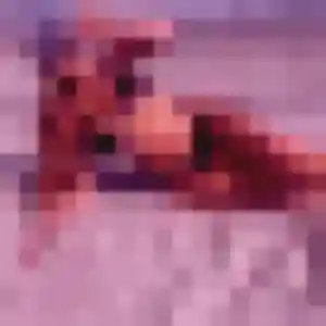 Photo de Henriette à Saint-Jory (44 ans) - rencontre sexe gratuit
