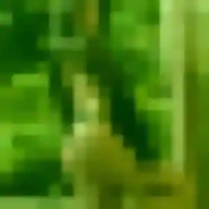 Alessandra (34 ans) à Saint-Joseph cherche un rencontre sexe maintenant