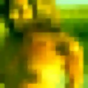Sexy Pauline, 23 ans à Saint-Laurent-du-Maroni - la contacter