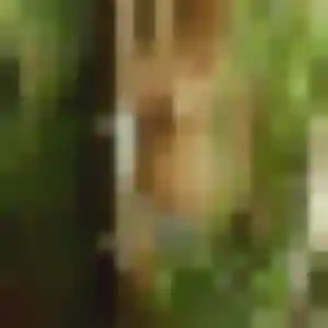 Photo de Camille à Saint-Leu-la-Forêt (40 ans) - rencontre sexe anonyme