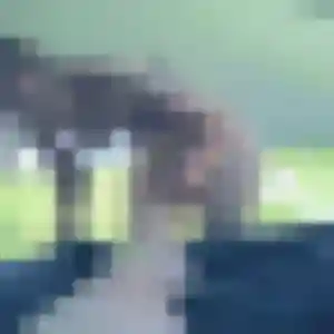 Benedicte (27 ans) à Saint-Lô attend un rencontre sexe maintenant