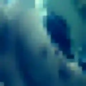Laure, 20 ans, dispo pour rencontre sexe à Saint-Lô