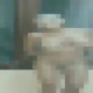 Nina, 41 ans, disponible à Saint-Marcellin pour un rencontre sexe