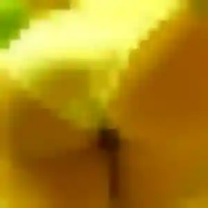 Vanessa, 25 ans, en ligne à Saint-Nicolas-de-Port pour une rencontre coquine
