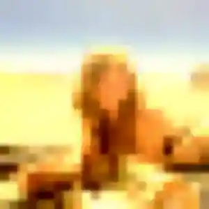 Photo de Oceane à Saint-Pathus (37 ans) - rencontre sexe sans inscription