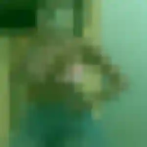 Djamila de Saint-Philbert-de-Grand-Lieu, 35 ans - rencontre sexe discret