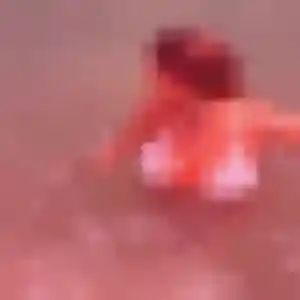 Paloma, 22 ans, cherche un rencontre sexe à Saint-Saulve