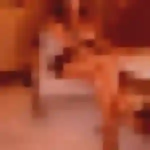 Elena (27 ans) à Sainte-Geneviève-des-Bois cherche un rencontre sexe ce soir