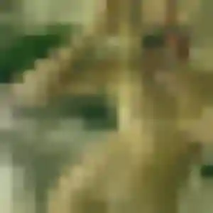Brigitte de Sallaumines, 32 ans - rencontre sexe sans lendemain