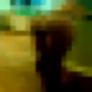 Ilona, 35 ans, disponible à Seyssinet-Pariset pour une rencontre coquine