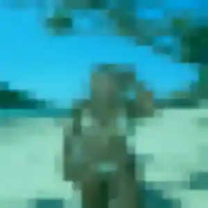 Profil de Bertille à Soisy-sur-Seine (31 ans) - rencontre sexe anonyme