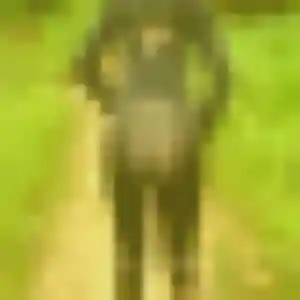 Diane, 21 ans, en ligne à Sucé-sur-Erdre pour un rencontre sexe