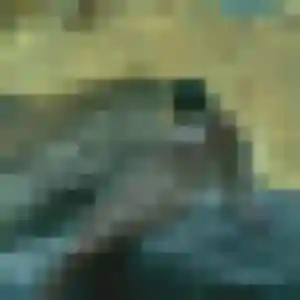Photo privée de Bernadette, 35 ans à Ternay - plan discret
