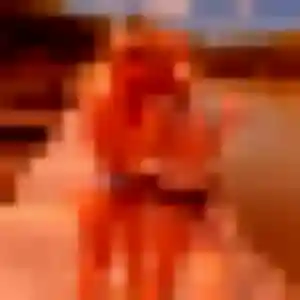 Photo de Verane à Ussel (34 ans) - rencontre sexe sans inscription