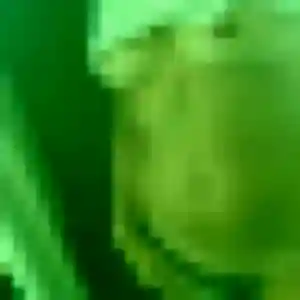 Charlotte (29 ans) à Valdallière cherche une rencontre aujourd'hui